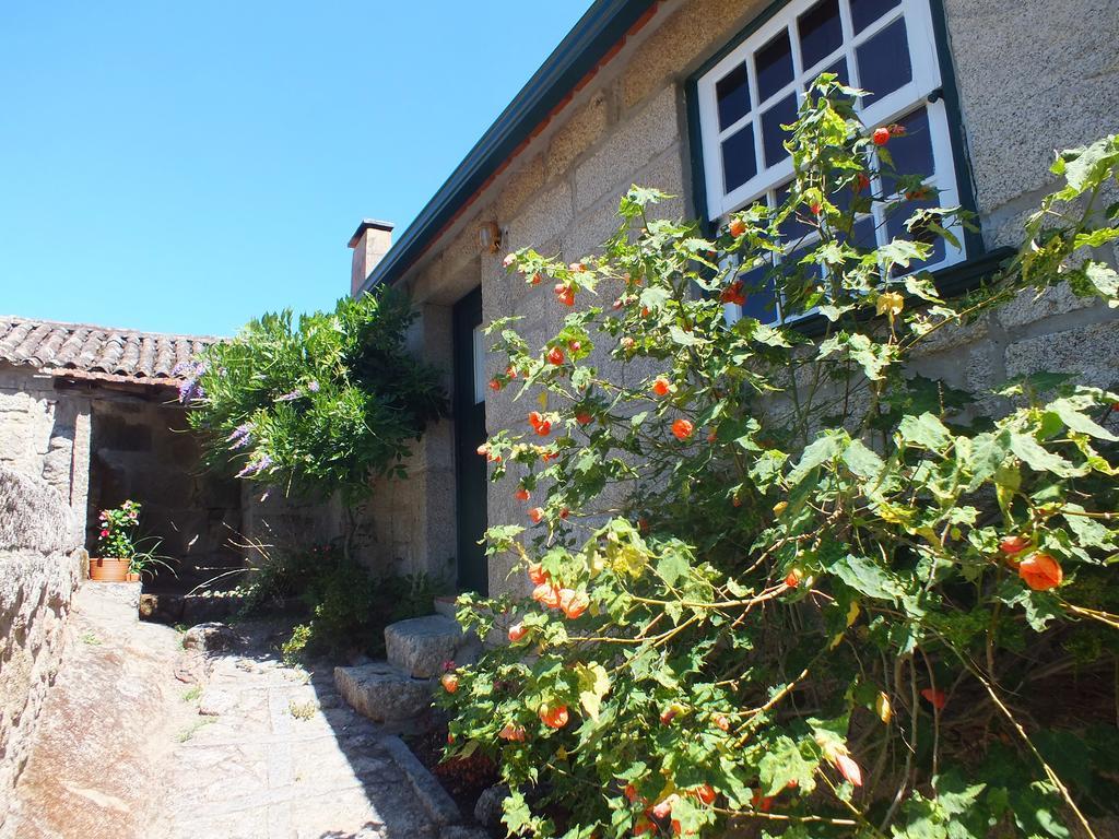 Villa Quinta Do Caritel Vouzela Habitación foto