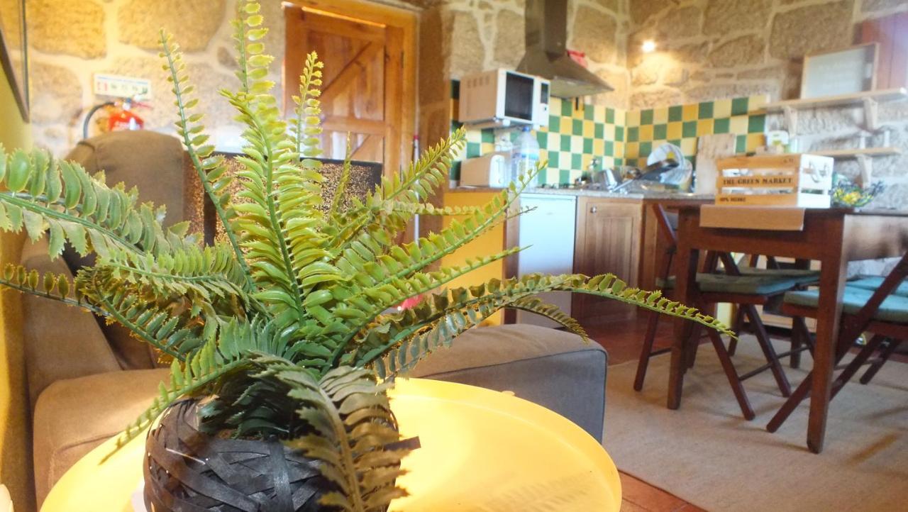 Villa Quinta Do Caritel Vouzela Exterior foto